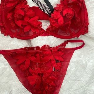 Victoria’s Secret Red Floral Embroidered set